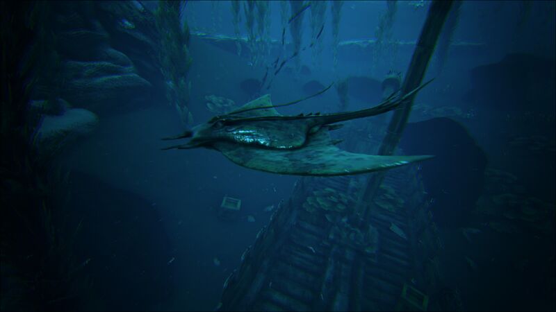 File:Manta Near a Shipwreck.jpg