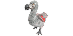 Dodo PaintRegion5.png