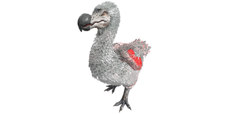 File:Dodo PaintRegion5.png