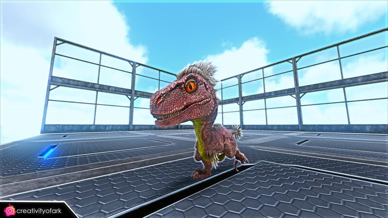 File:Chibi-Raptor in game.jpg