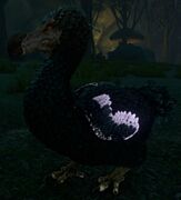 Aberrant Dodos have glowing regions on their wings.