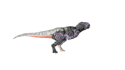 Corrupted Carnotaurus PaintRegion5.png