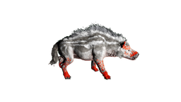 Andrewsarchus Painstregion4.png