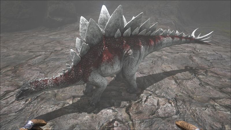 File:Stegosaurus PaintRegion3.jpg