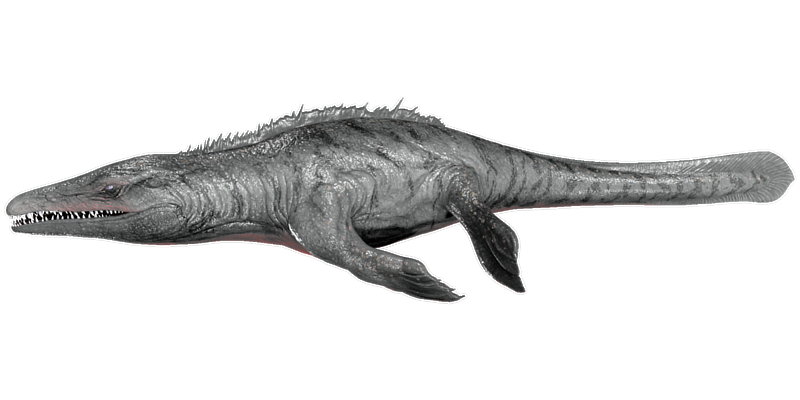 File:Mosasaurus PaintRegion5.png