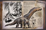 Dossier Dreadnoughtus.jpg