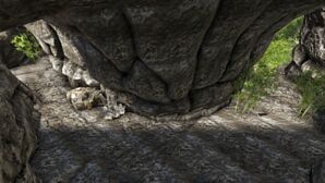 Oluf Jungle Cave (Ragnarok).jpg
