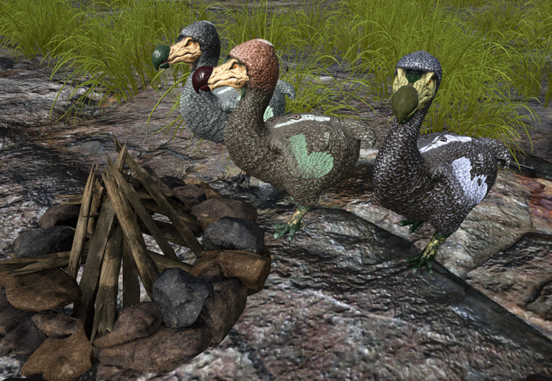 File:Dodo Size.png