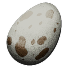Dodo Egg.png