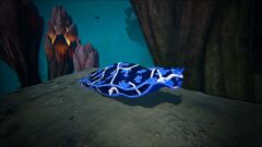 X-Giant Sea Slug
