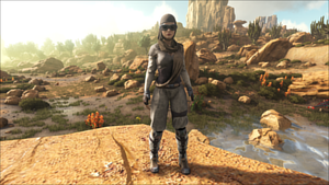 A full set of Desert Armor on the female character.