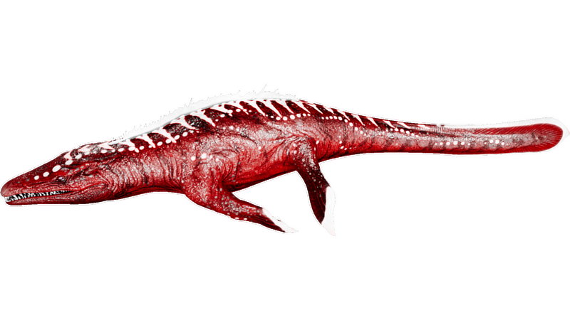 File:X-Mosasaurus PaintRegion0.png