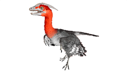 Microraptor PaintRegion4.png