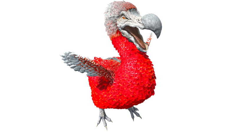 File:Dodo PaintRegion0 ASA.png