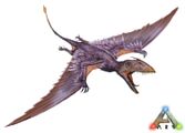 Dimorphodon.jpg