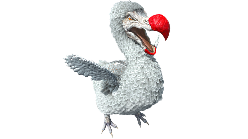 File:Dodo PaintRegion2 ASA.png