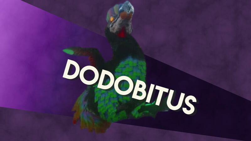File:Dodobitus Image.jpg