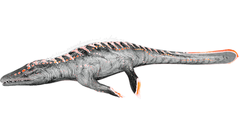 File:X-Mosasaurus PaintRegion5.png