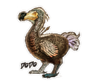 Dossier Dodo Character.png
