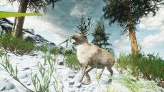 Reindeer seen in-game.