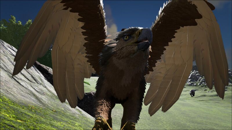 File:Griffin up close.jpg